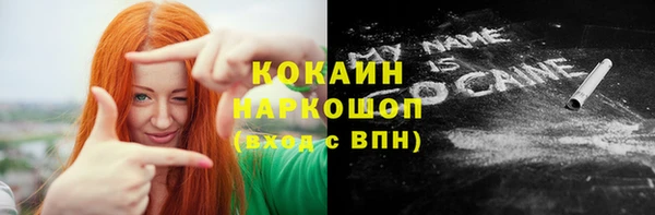 шишки Корсаков