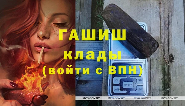 шишки Корсаков