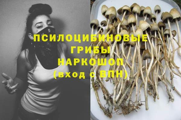 шишки Корсаков