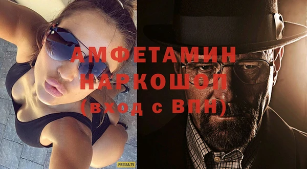 шишки Корсаков