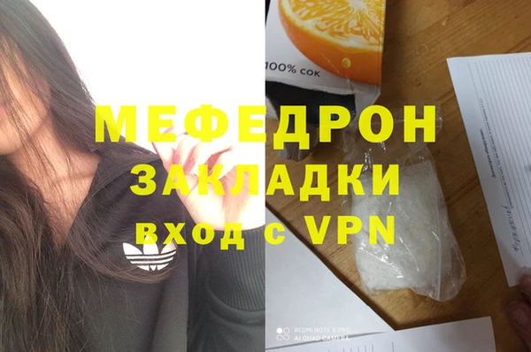 шишки Корсаков