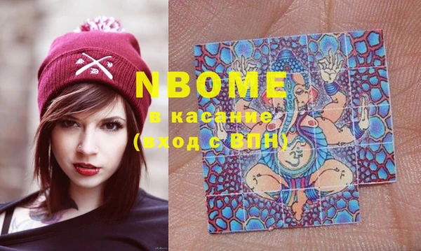 шишки Корсаков