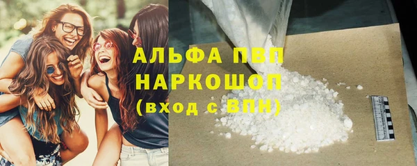 шишки Корсаков