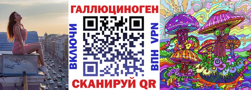 Купить где  Будённовск  Галлюциногенные грибы Cubensis 